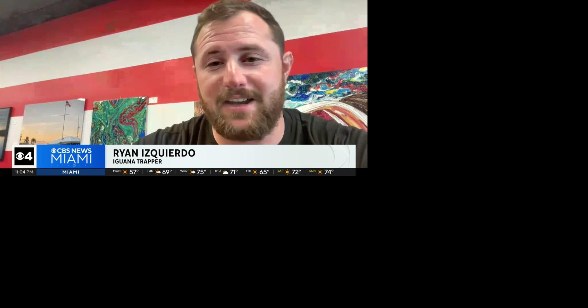 Iguana pizza is now a thing in South Florida, thanks to a cold snap that sent iguanas falling from trees