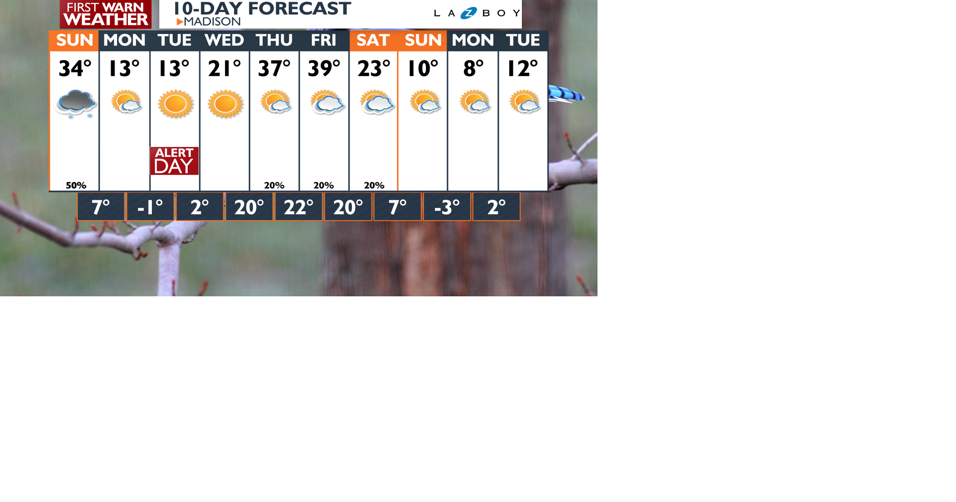 10-Day-AM Wizard PoP.png | | channel3000.com