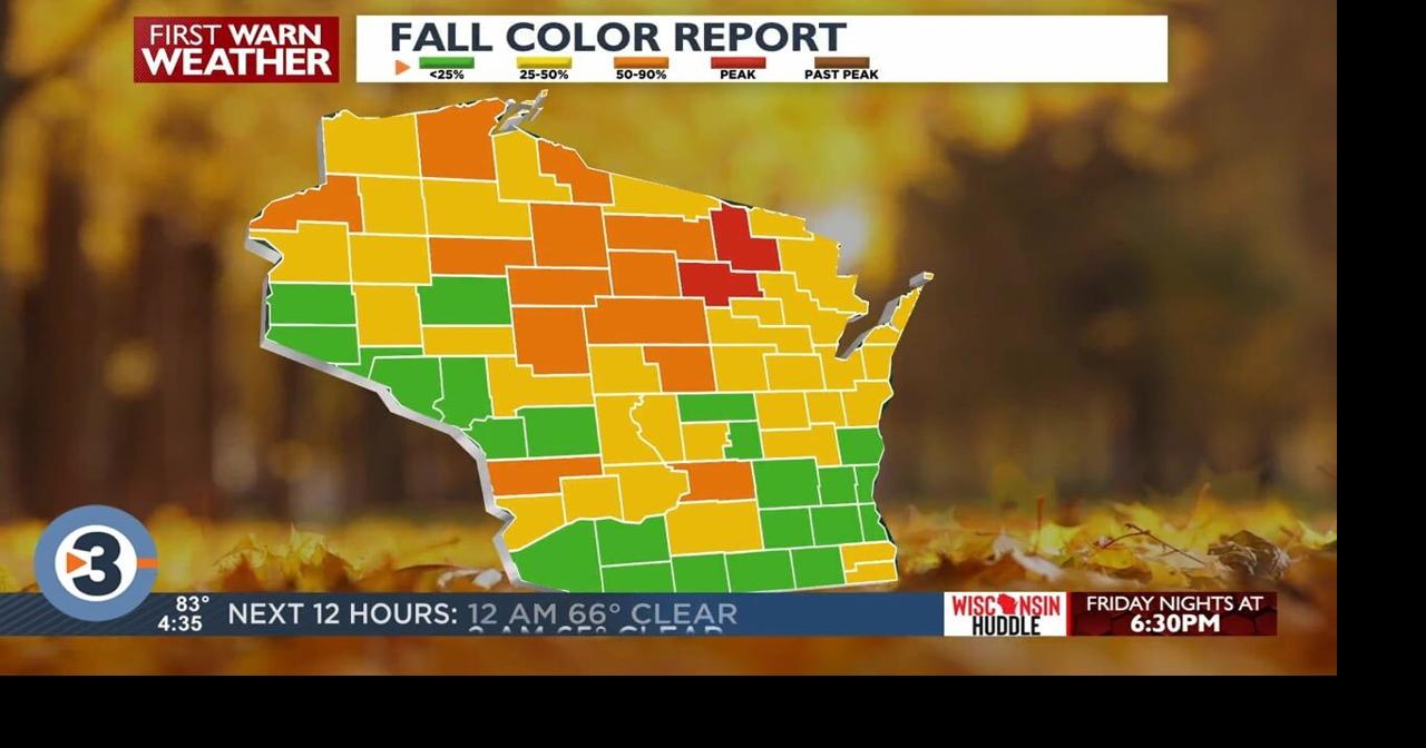 Beyond the Barometer: Fall leaf colors explained | Top Videos ...