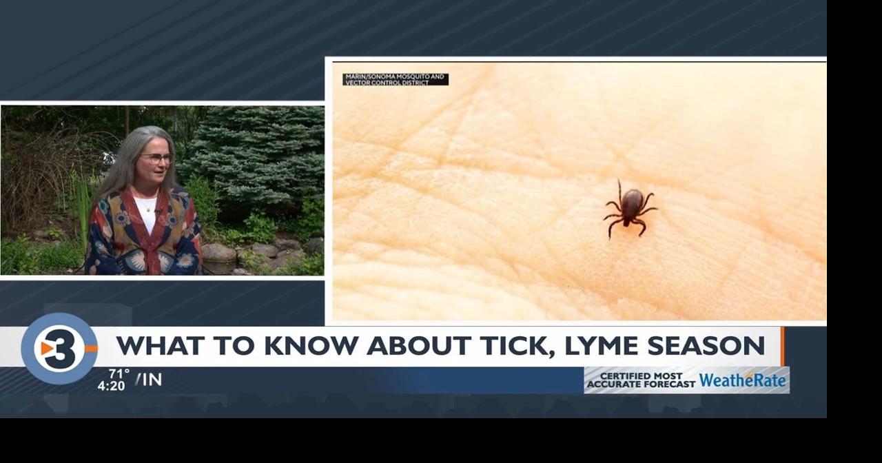 WATCH What to know about ticks, Lyme disease in Wisconsin Video