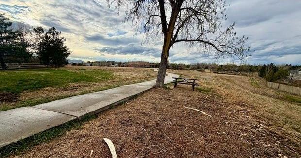 Colorado police searching for help to identify injured woman struck by lightning