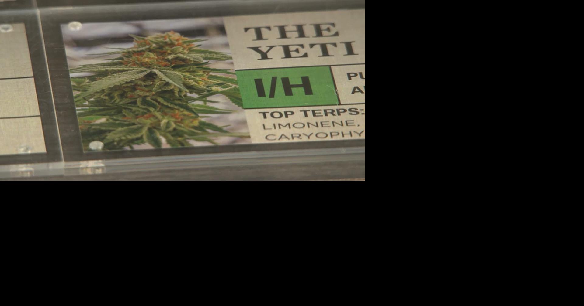 Hawaii Health Department’s enforcement of hemp retailers is helping compliance | National and World News