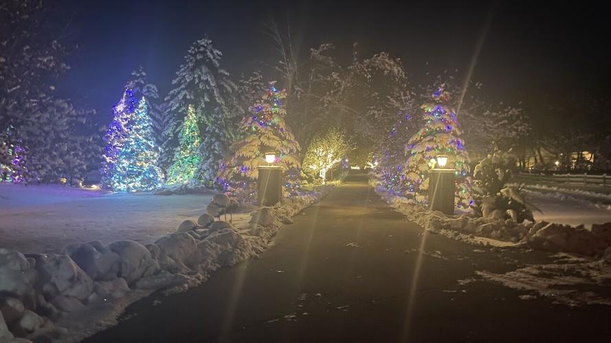 Blackstone Court holiday lights