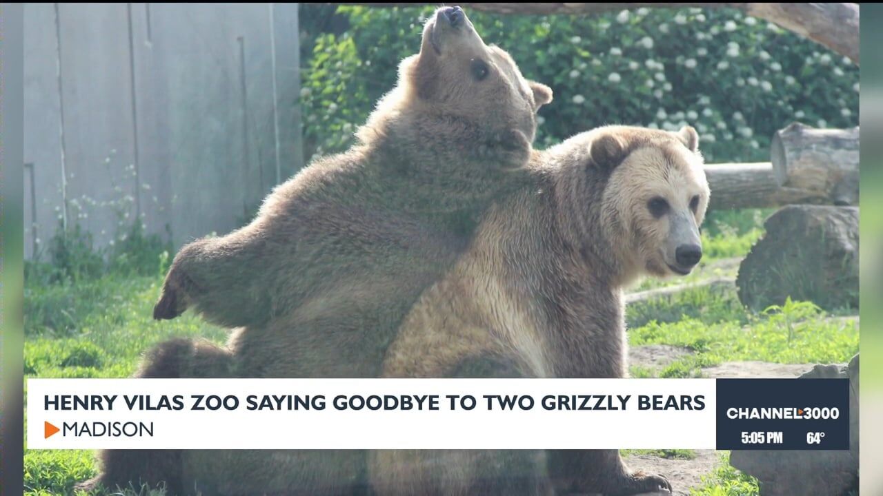 ３枚で送料無料【Bearsville/Warner】Foghat/Same