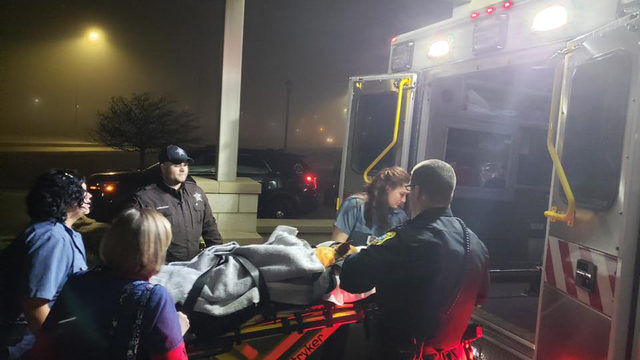 Police dog stabbed by suspect undergoes life-saving surgery, officials ...