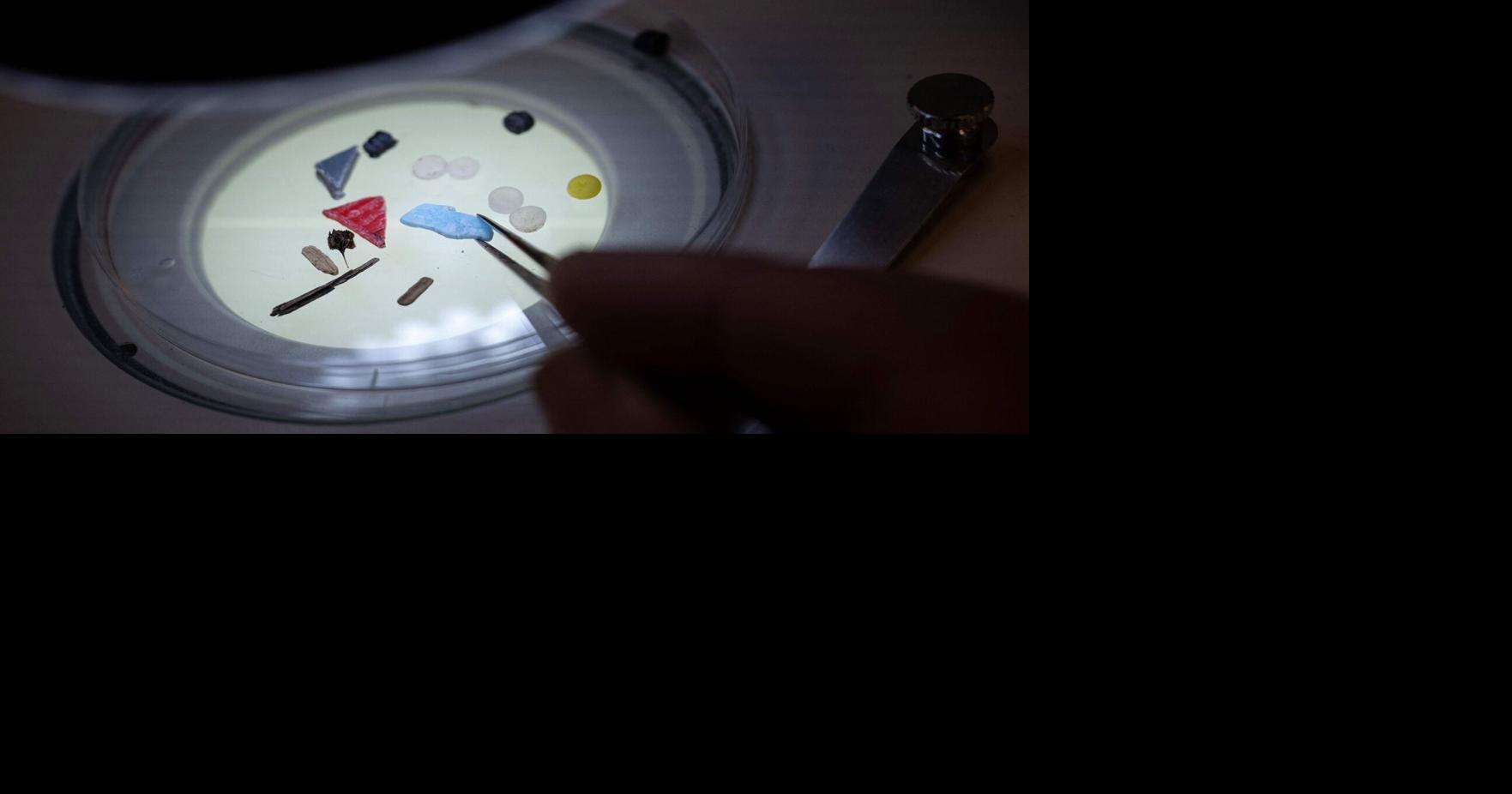 Scientists discovered microplastics in human semen and follicular fluid