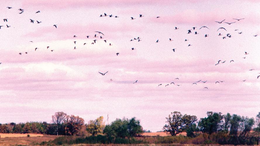 The ultimate southern Wisconsin fall bucket list | MADISON MAGAZINE ...