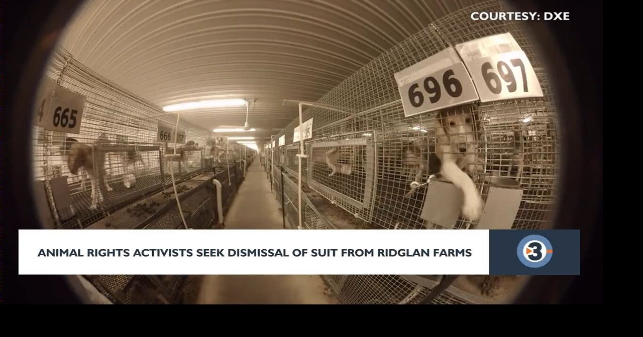 Animal rights activists seek dismissal of suit from Ridglan Farms ...