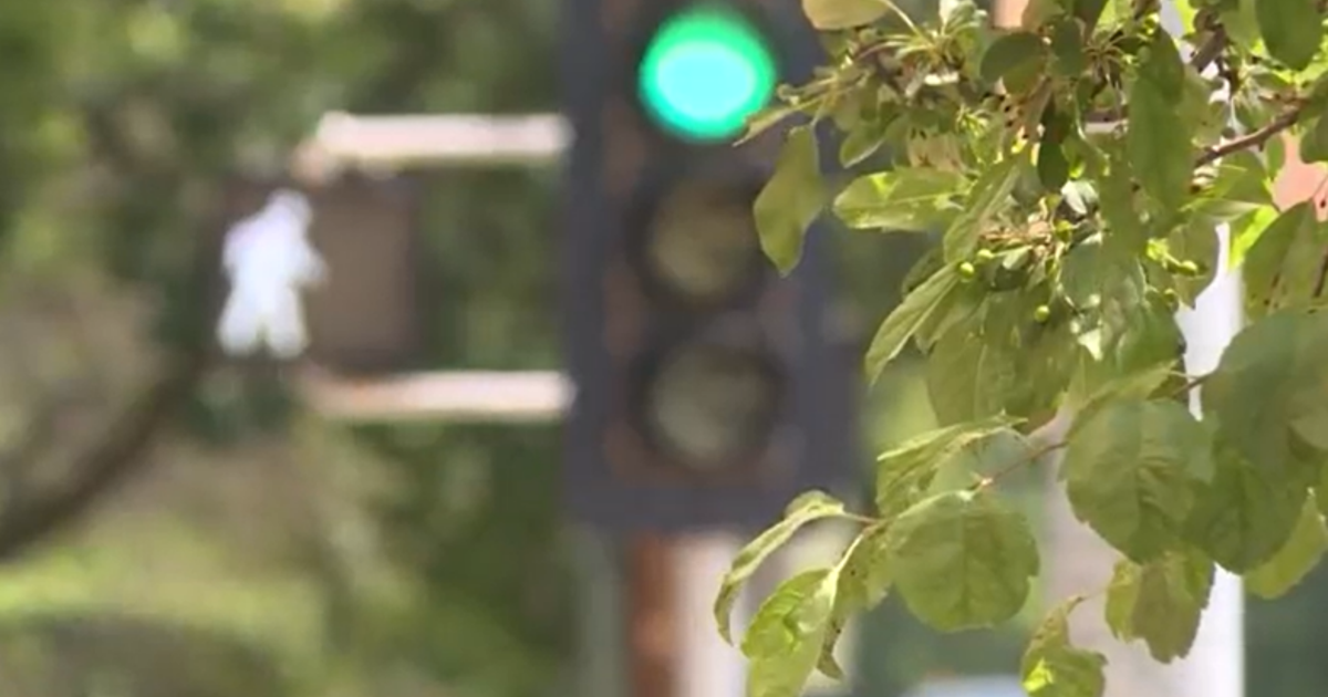 Madison unveils plan to make walking, biking to school safer for ...