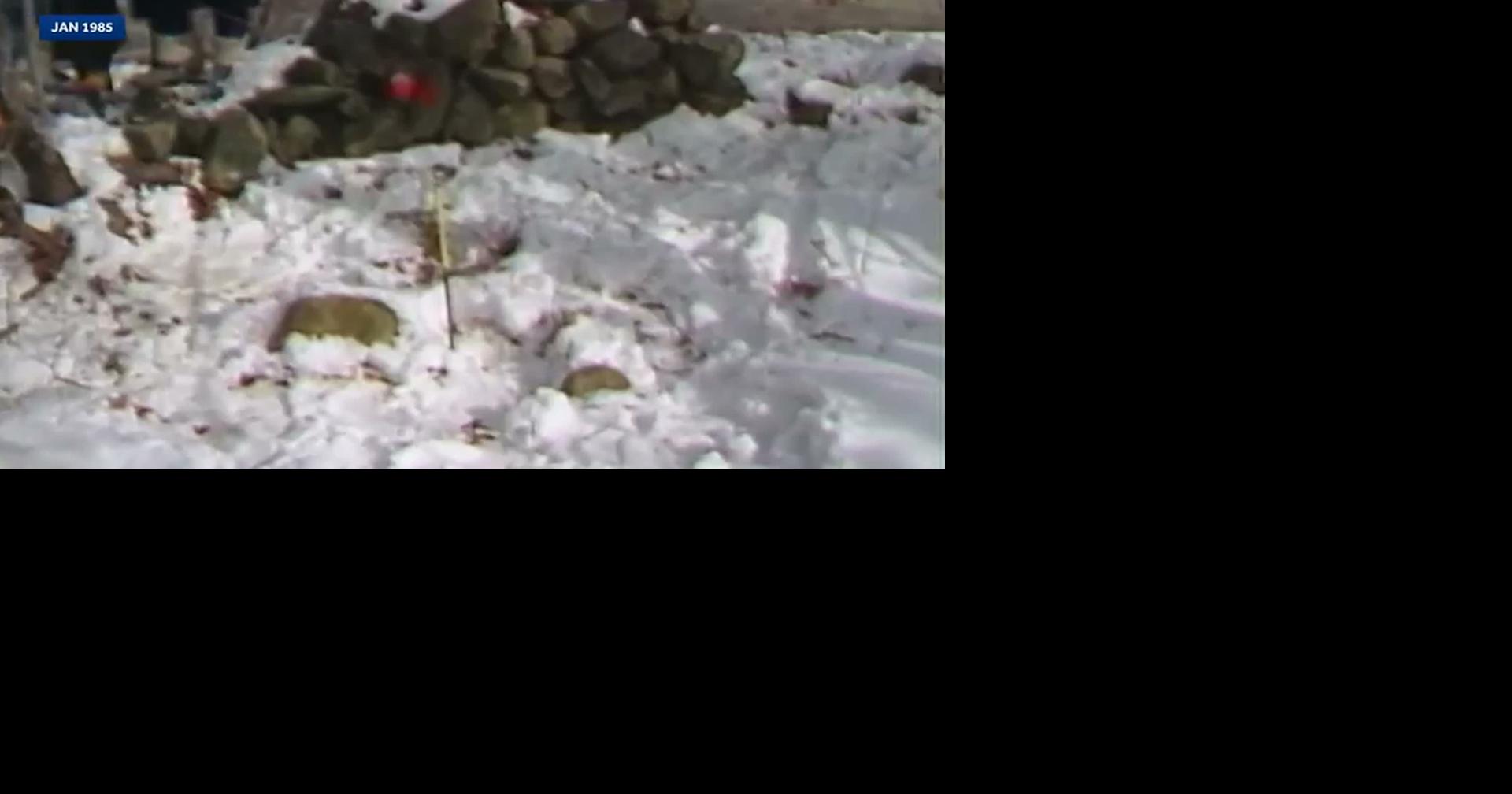 Woman charged in 1985 killing of newborn found in Massachusetts, woods