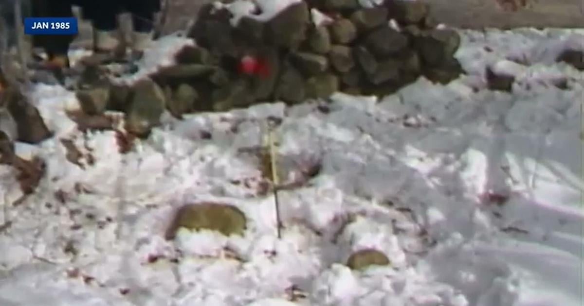 Woman charged in 1985 killing of newborn found in Massachusetts, woods