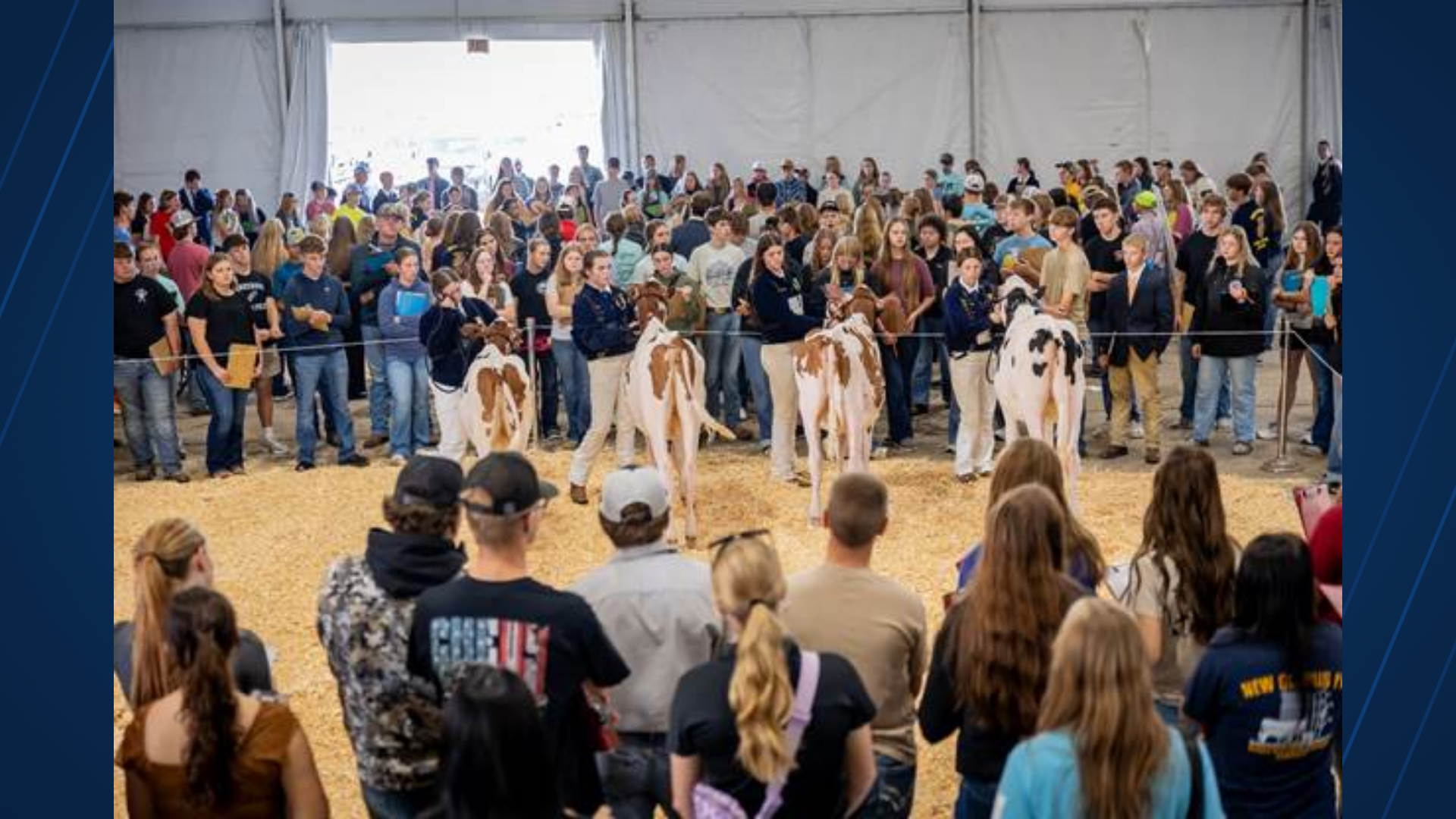 World Dairy Expo announces National FFA endorsement for 2026 Dairy ...