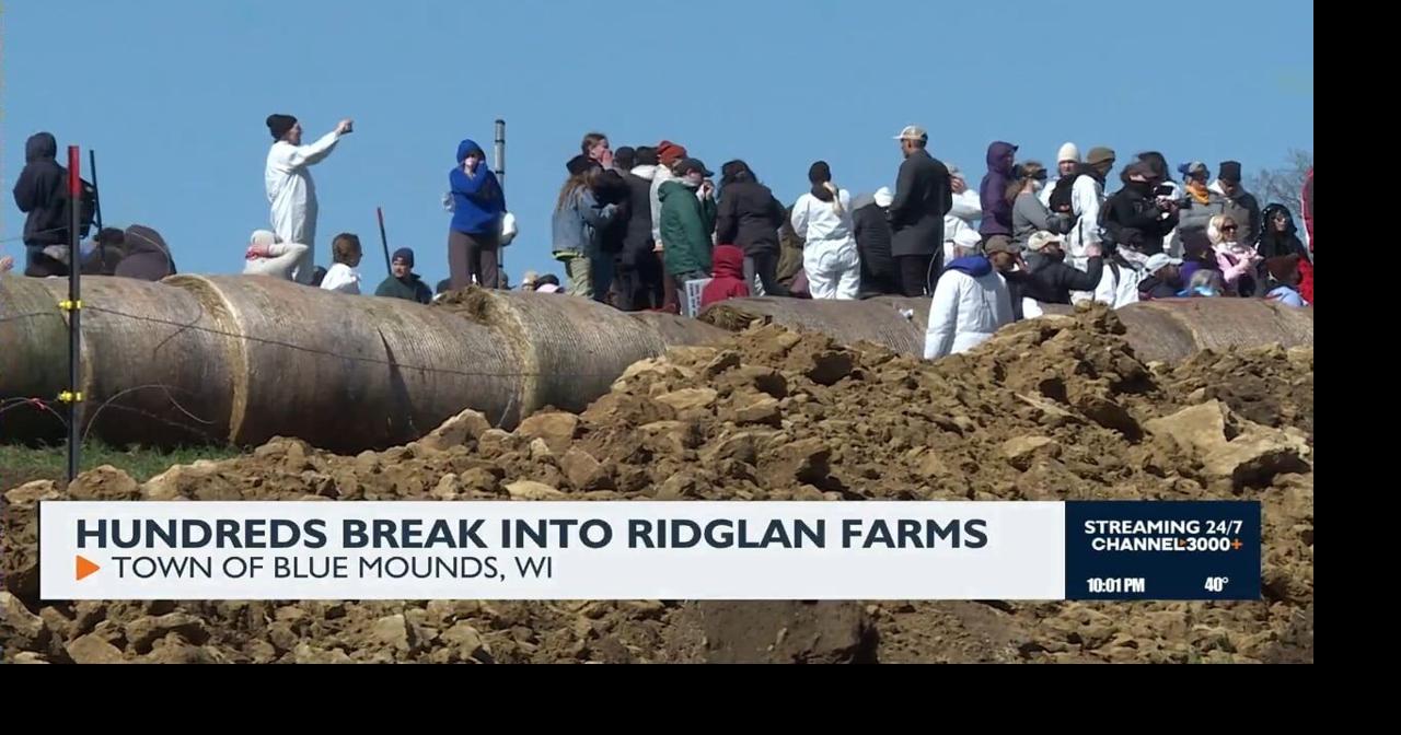 Animal rights activists break into Ridglan Farms | News | channel3000.com