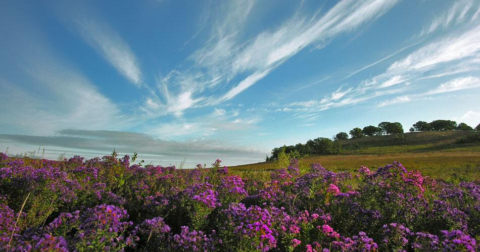 In the 608: Trails Day 2023 set for Saturday - Vimarsana News
