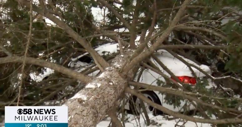 Blizzard causes downed trees, power outages in Wisconsin | News ...
