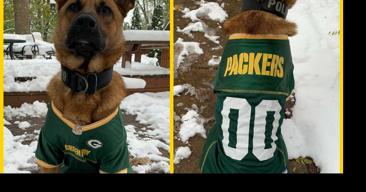 packers dog sweater