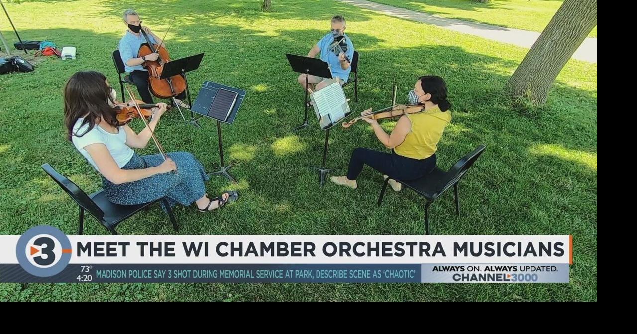 Meet the Wisconsin Chamber Orchestra Musicians: A performance from a ...