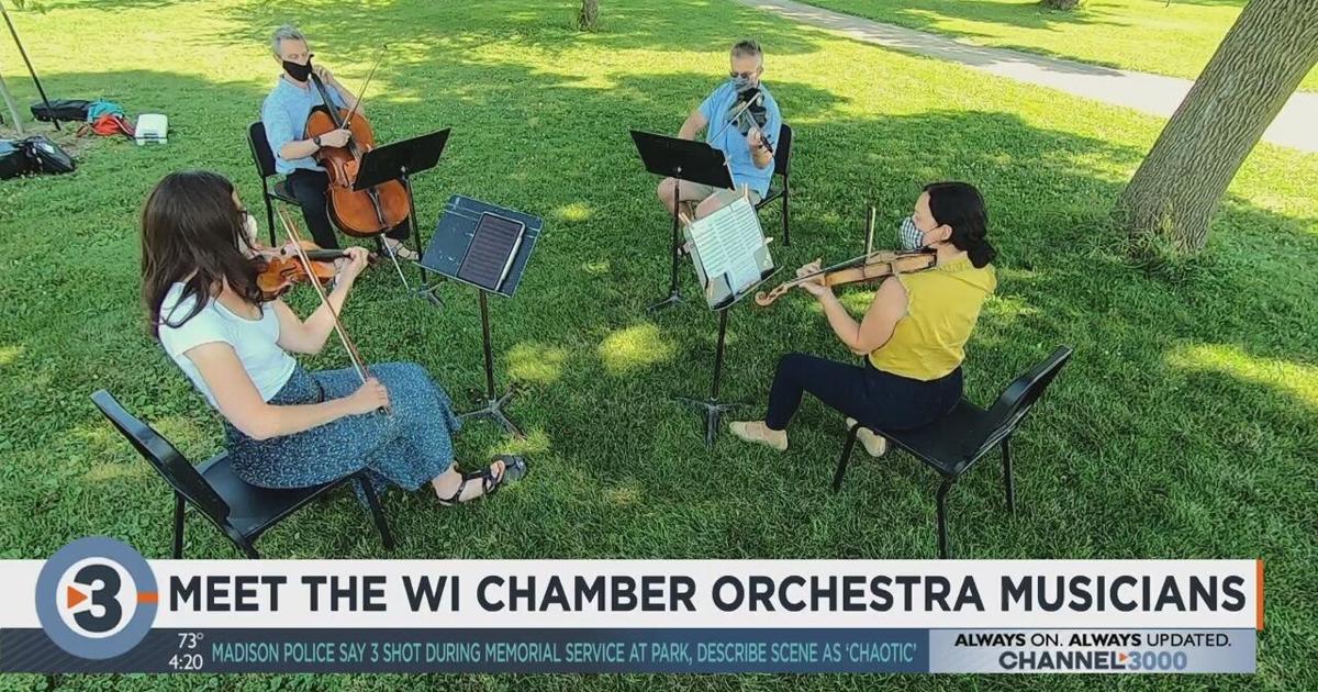 Milwaukee String Music Meet the Wisconsin Chamber Orchestra Musicians: A performance from a ...