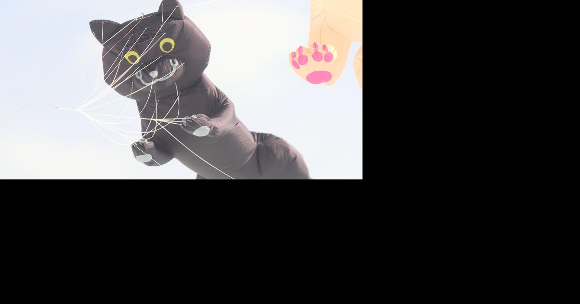 An afternoon on Lake Mendota with Wisconsin's King of Kites News