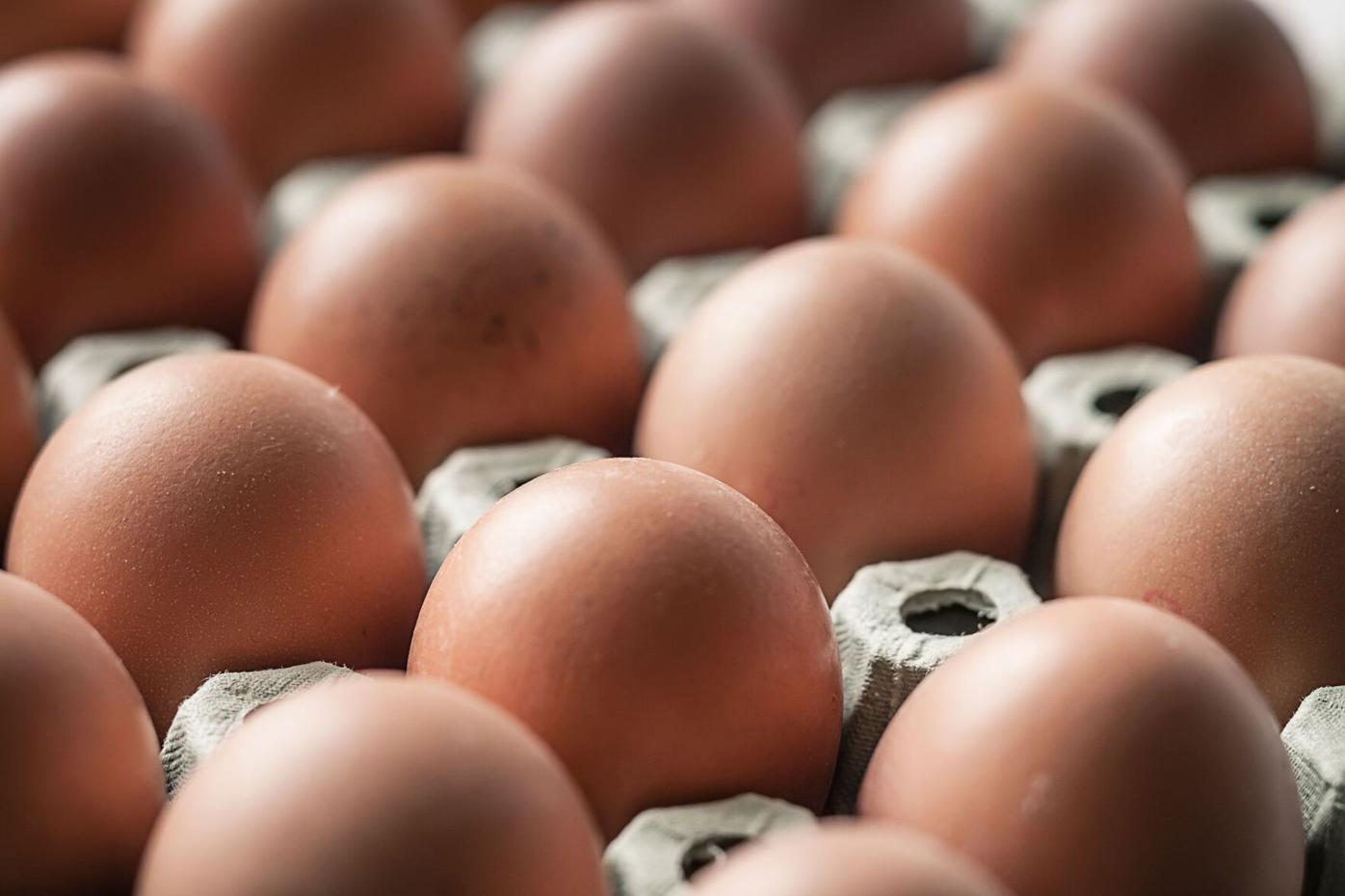 Salmonella outbreak linked to eggs sickens dozens of people across 7 states  | News | channel3000.com