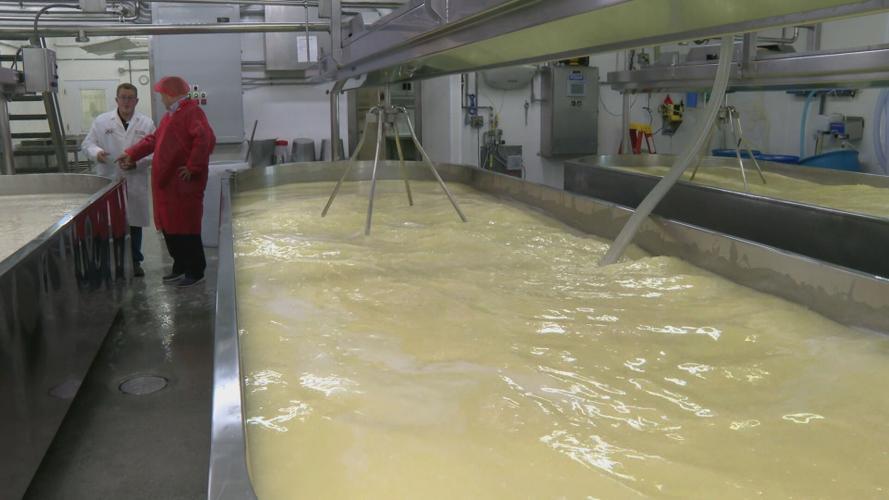 PHOTOS What goes into making Limburger cheese