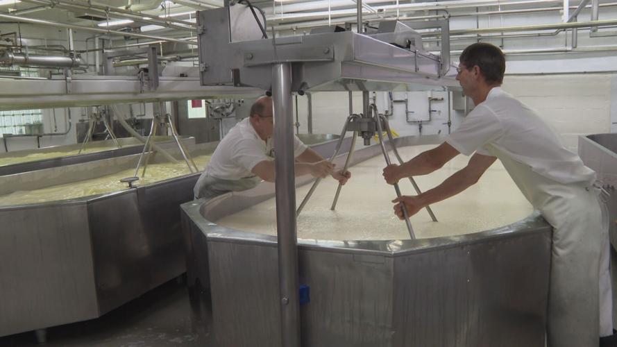 PHOTOS What goes into making Limburger cheese