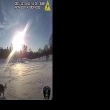 17-month-old K9 helps locate missing Michigan teen