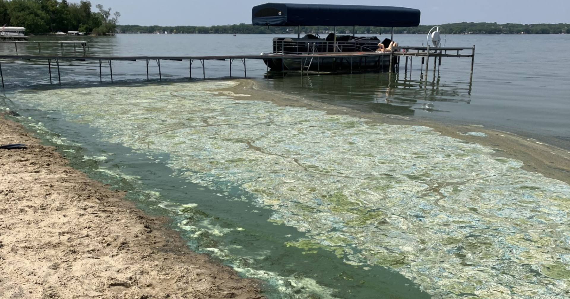 Blue-green algae bloom prompts first beach closure of 2023 season - Vimarsana News