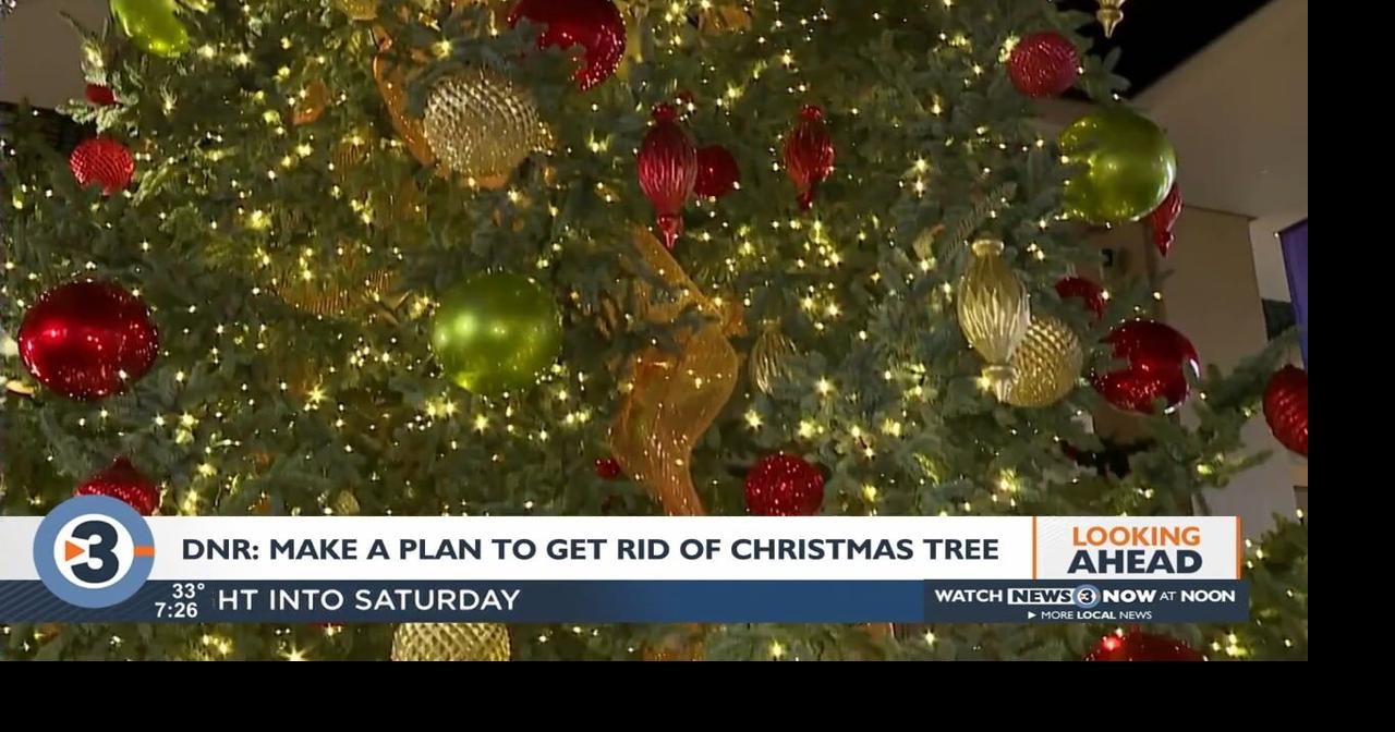 DNR Make a plan now to properly throw away your holiday tree News