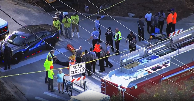 Manatee successfully rescued after being trapped in a storm drain under Florida road