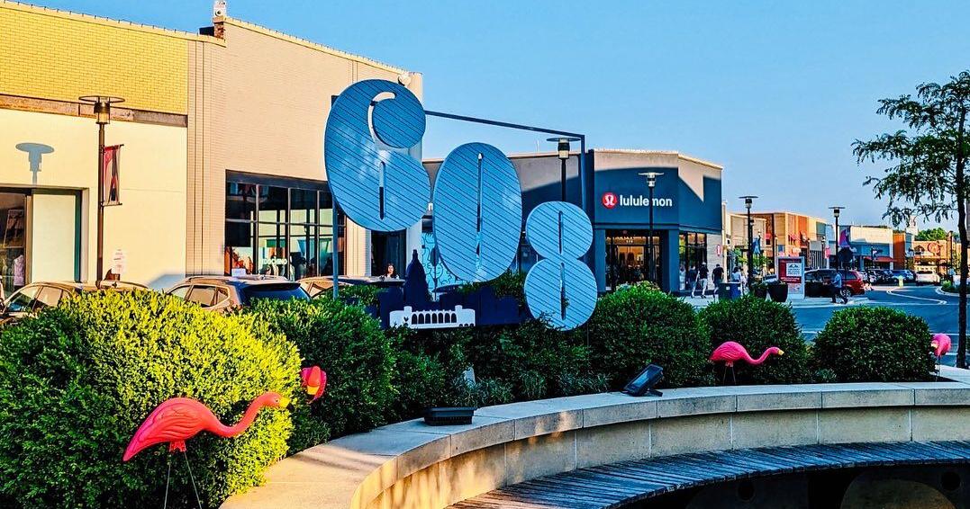 In the 608: How Hilldale is celebrating '608 Day'