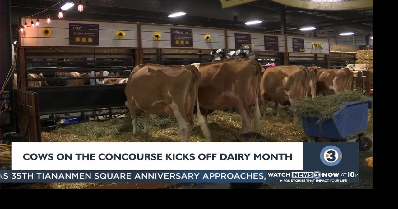 Cows on the Concourse kicks off Dairy Month Video