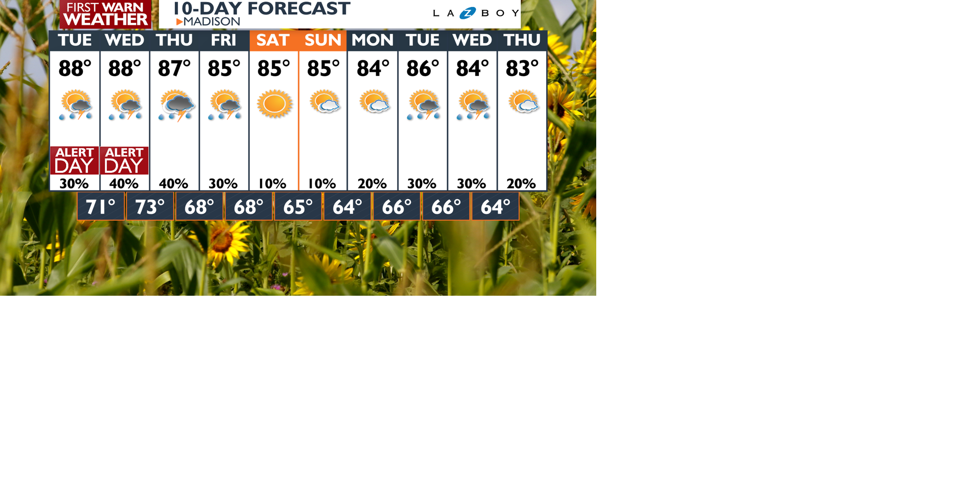 Multiple rounds of storms the next few days Savanna Latest Weather