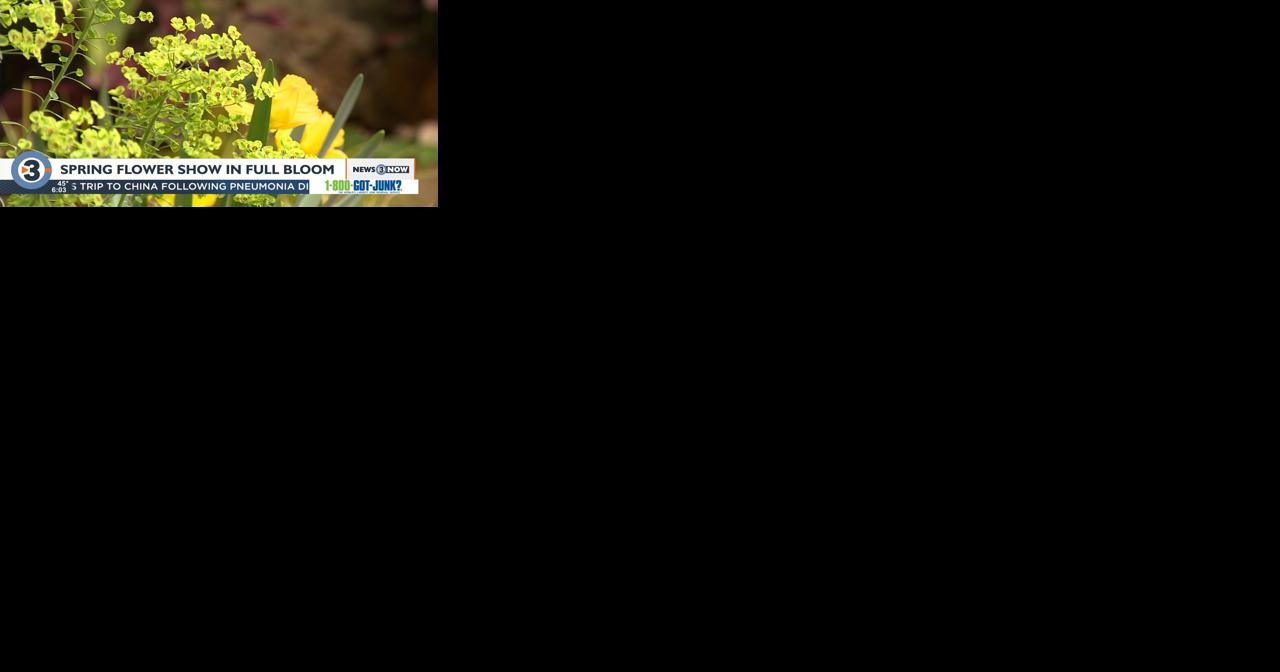 Spring flower show in full bloom at Olbrich Botanical Gardens - Vimarsana News