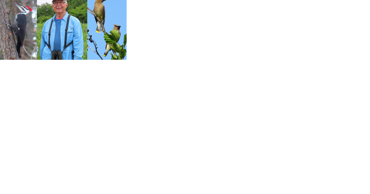 The biggest Madison birder you've never heard of - Vimarsana News