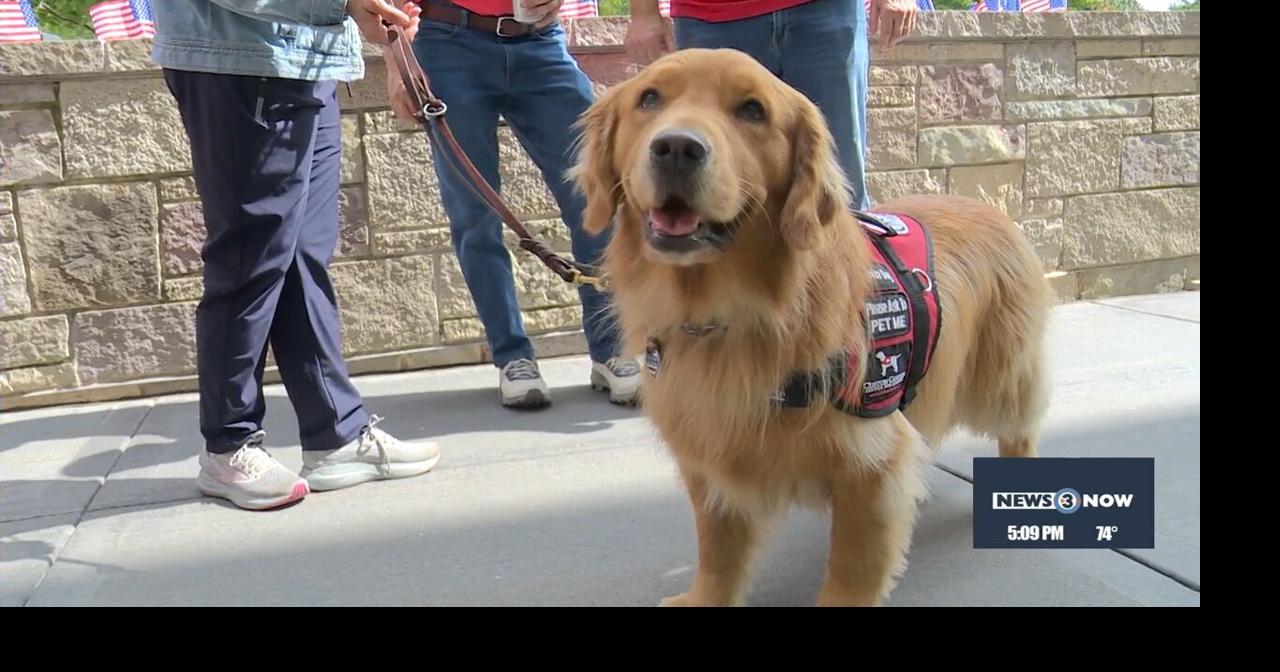 Fundraiser to provide service dogs to veterans | Video | channel3000.com