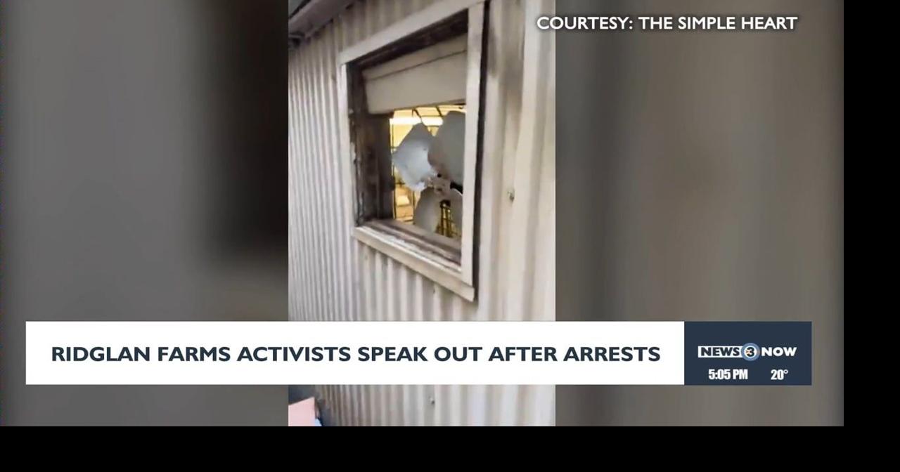 逮捕された動物愛護活動家、釈放後数分で声を上げる |ニュース