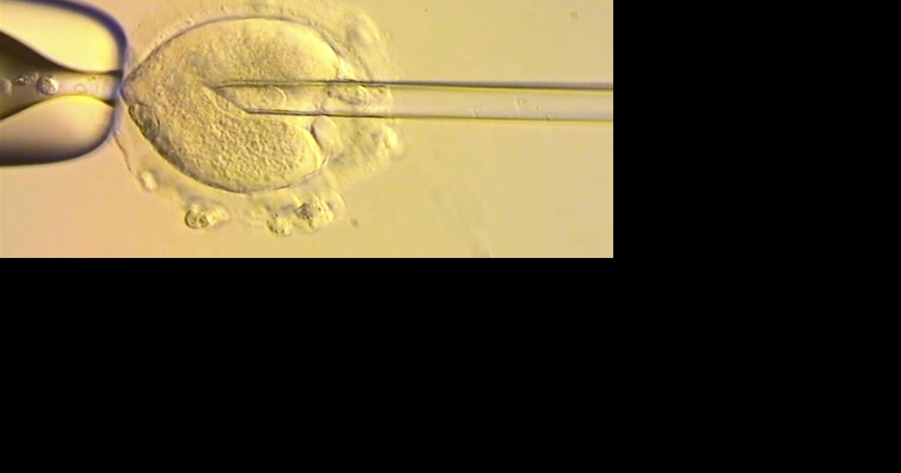 Healthy babies born in Britain after scientists used DNA to avoid genetic disease