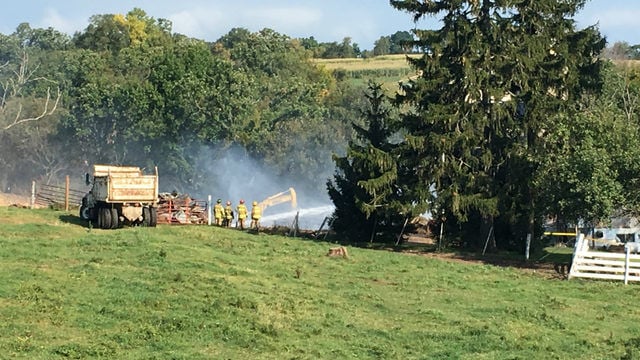 Barn fire kills 30 cows including record-setting cow Gigi | Local News ...