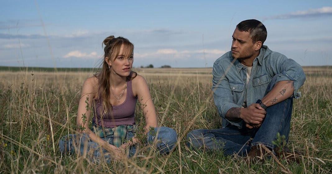 Writer Colleen Hoover finds new life as screenwriter