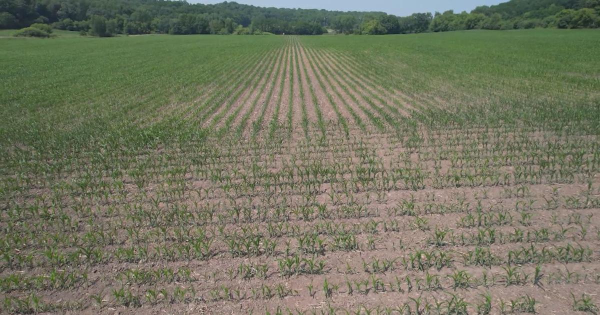 Wisconsin Usda Rural Development USDA announces $19.5 million for rural energy, infrastructure ...
