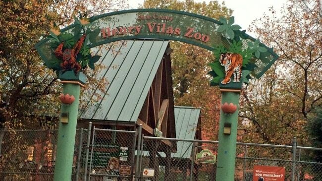 Henry Vilas Zoo announces largest attendance year in history | Local ...