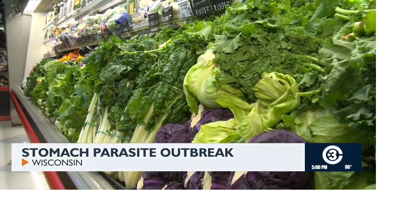 Doctors urge produce washing after diarrhea-causing parasite outbreak sickens 145