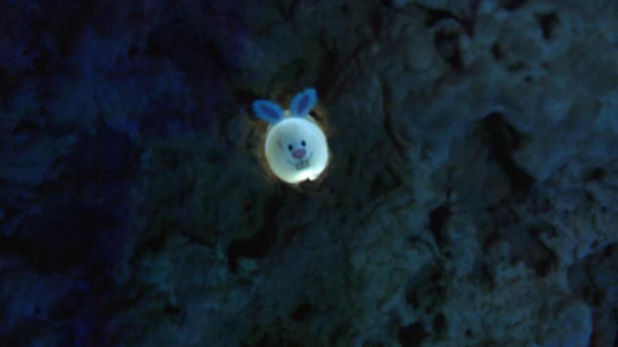 PHOTOS Cave of the Mounds holds underground Easter egg hunt