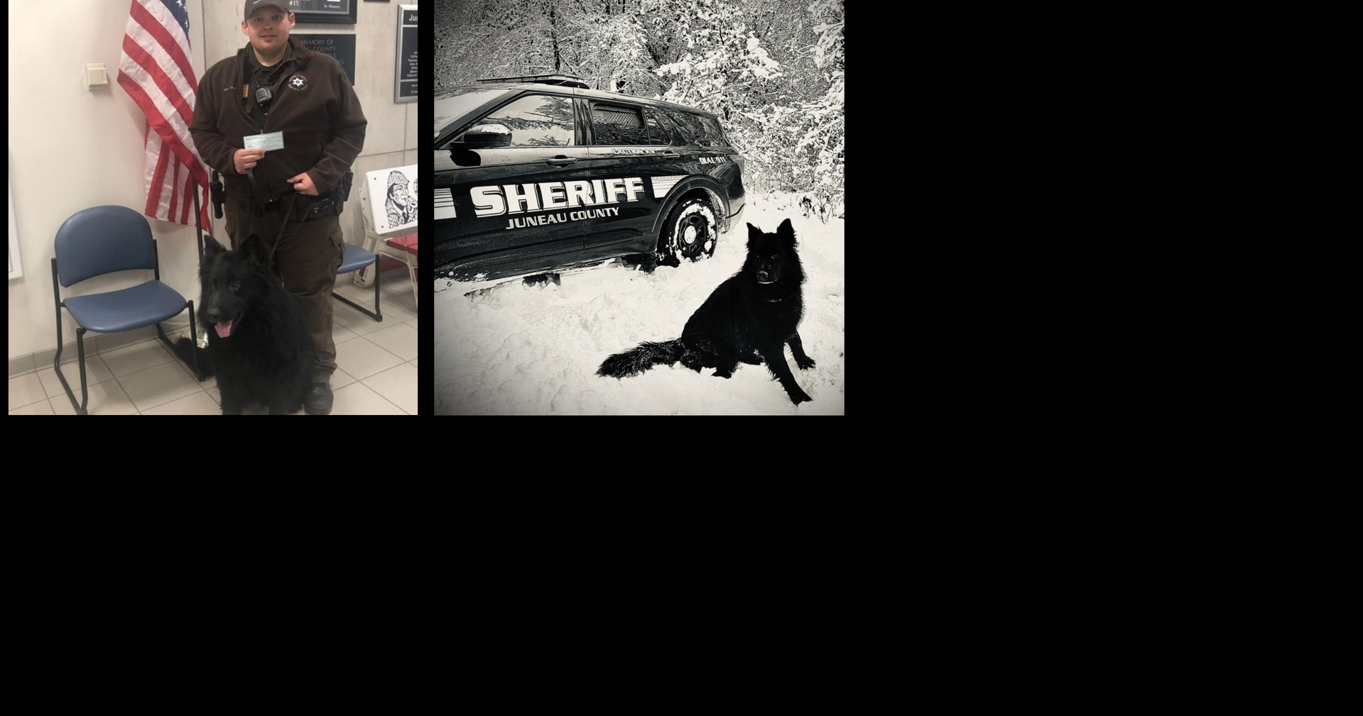 Juneau Co. Sheriff's Office mourns loss of retired K9 Timo | News ...