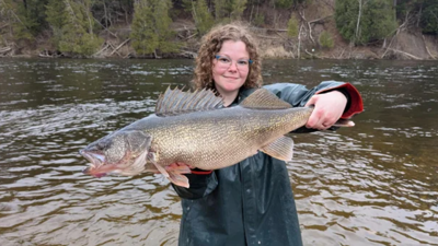 日本未発売 USダイワ ベッシー Walleye FAST SINKING Michigan DNR reports finding 15-pound walleye in Muskegon River