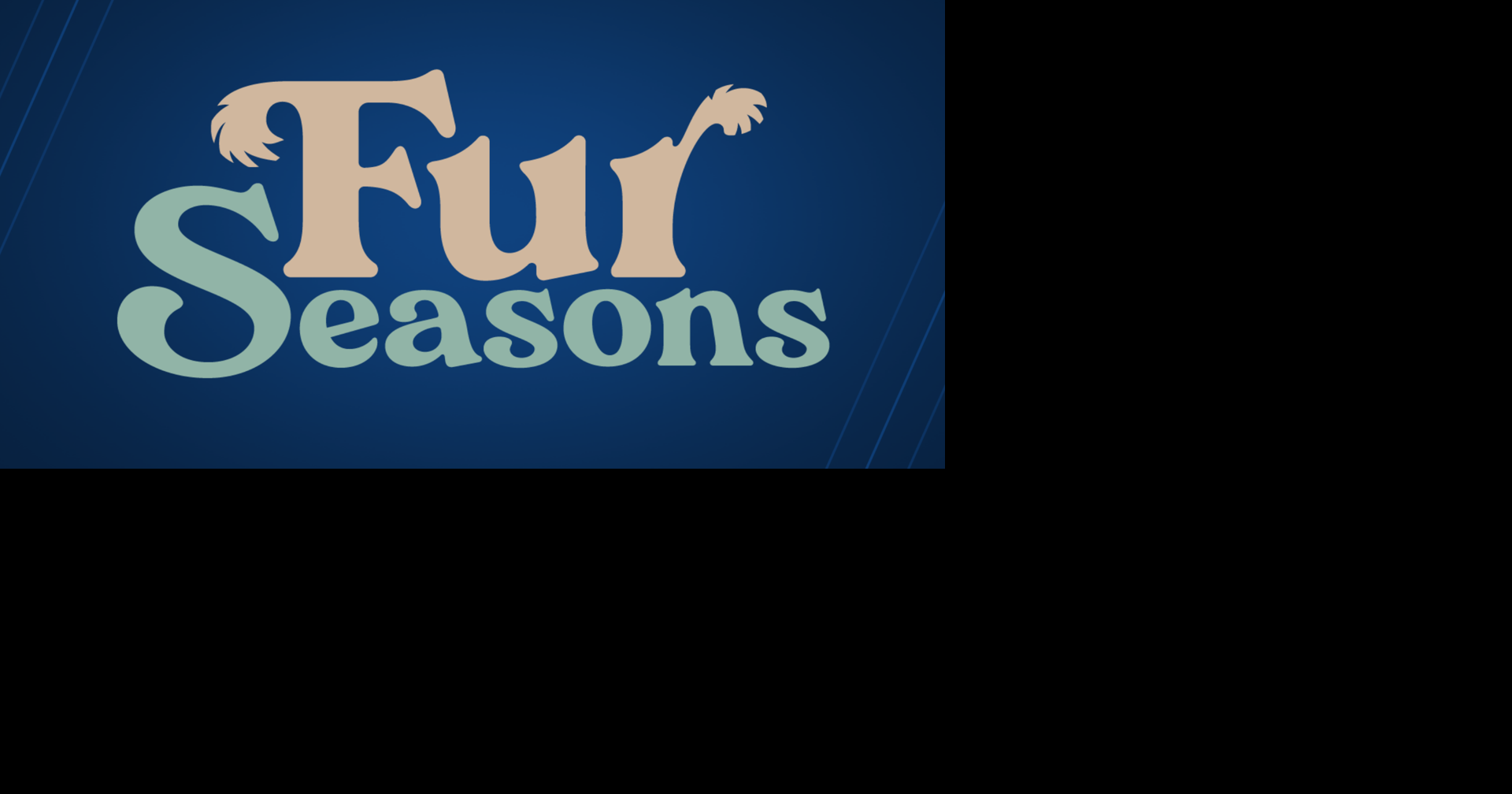 The Fur Seasons Cat Rescue hosting fundraiser at Garver Feed Mill in ...