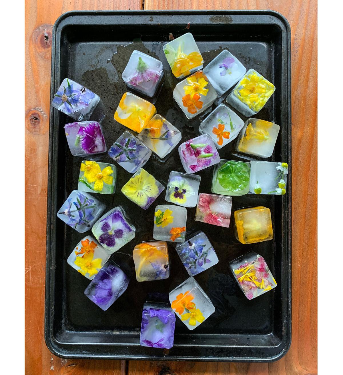 How to Make Edible Flower Ice Cubes