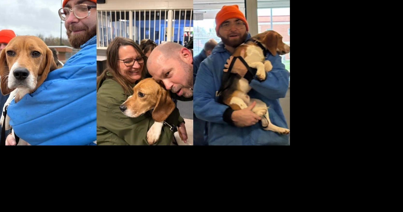 Prisoners help rehabilitate rescued Ridglan Farms beagles in Michigan ...