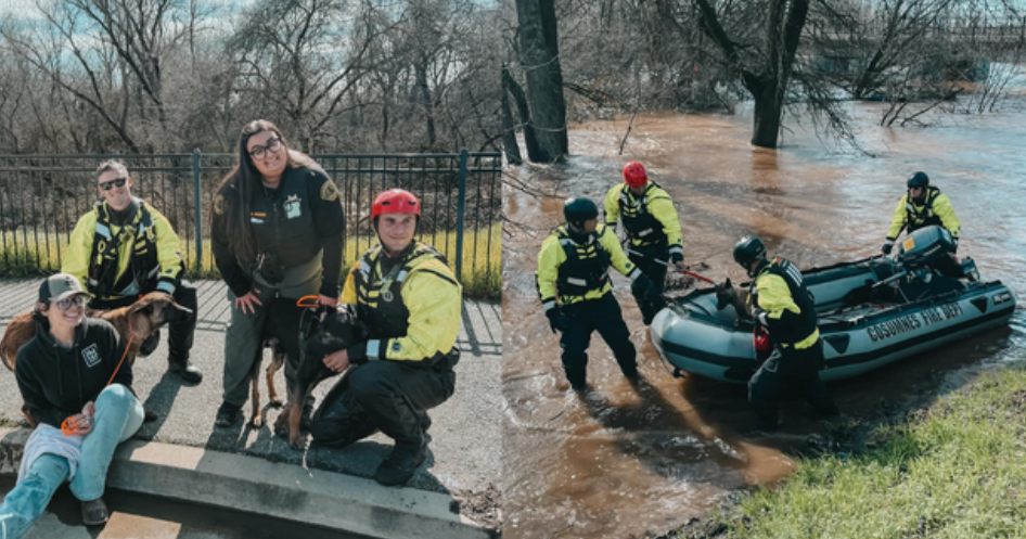 2 dogs tied up on embankment surrounded by rising waters in Galt ...